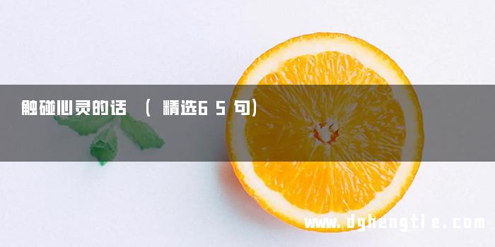 触碰心灵的话 (精选65句)